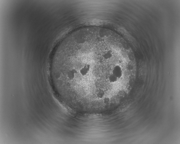 X0000072540683200608111813