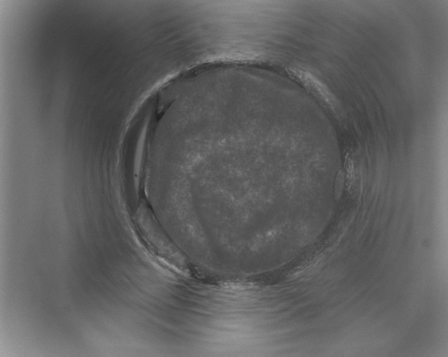 X0000072540684200608111813