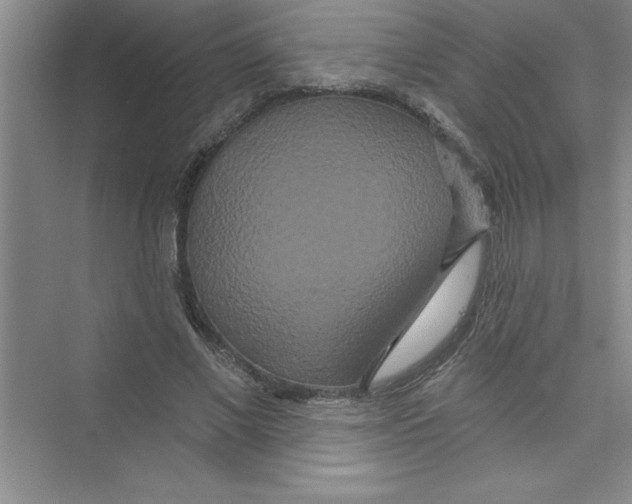 X0000072540685200608111813