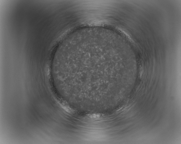 X0000072540687200608111813