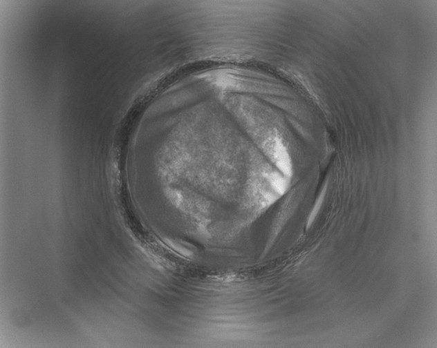 X0000072540688200608111813