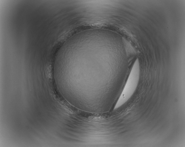 X0000072540689200608111813