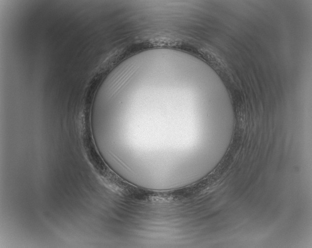 X0000072540690200608111813