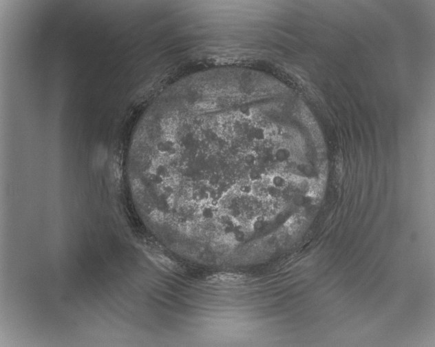 X0000072540691200608111813