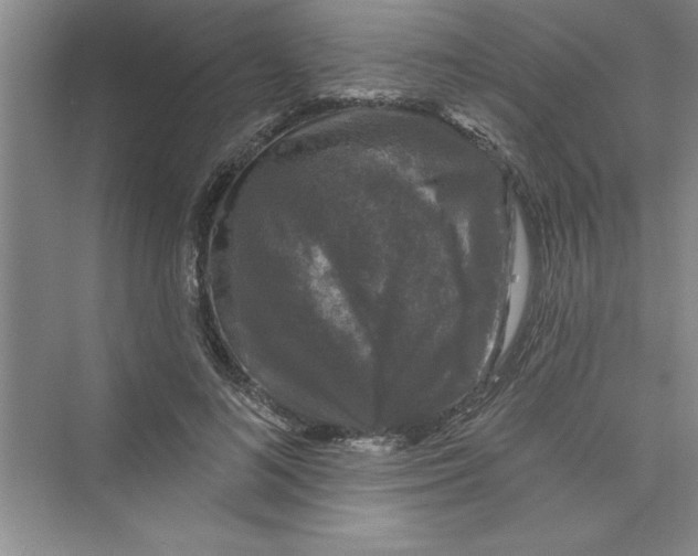 X0000072540692200608111813