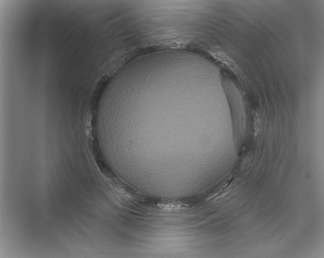 X0000072540693200608111813