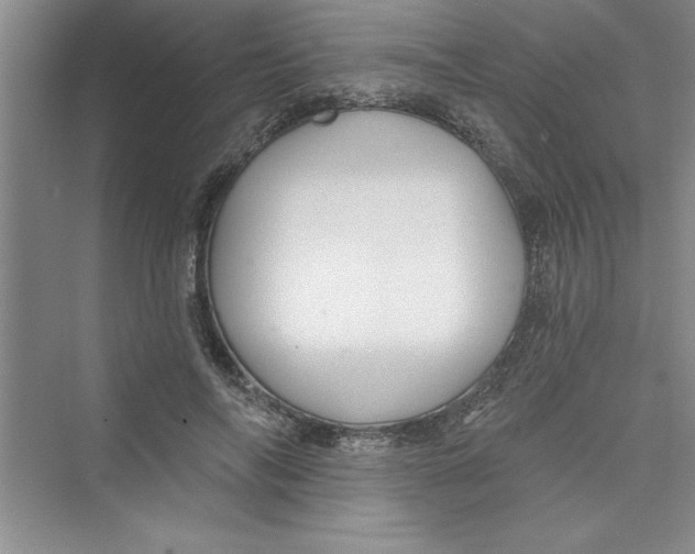 X0000072540694200608111813