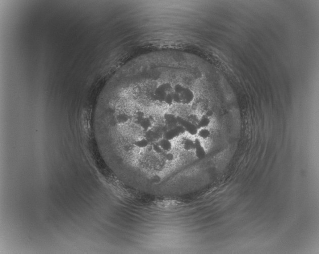 X0000072540695200608111813