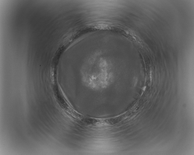 X0000072540696200608111813