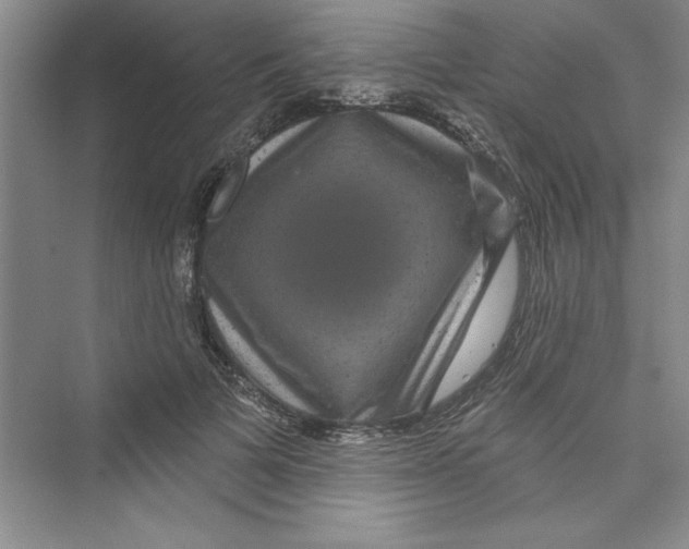 X0000072540697200608111813