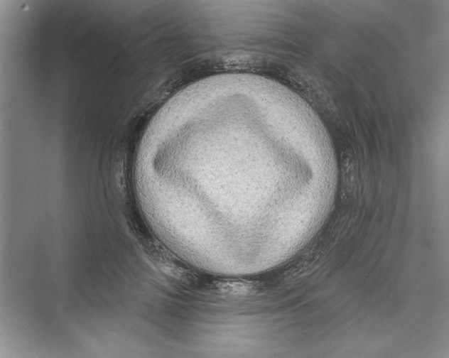 X0000072540698200608111813