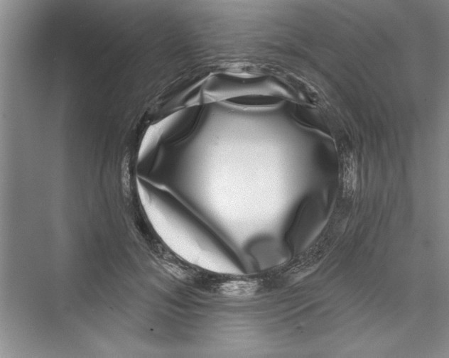 X0000072540700200608111813