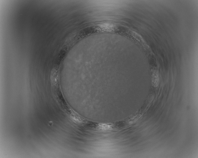 X0000072540701200608111813