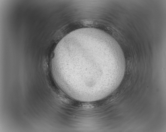 X0000072540702200608111813