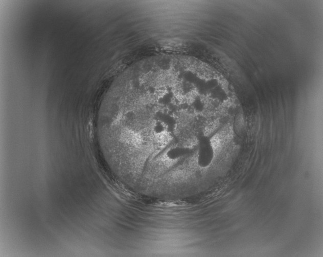 X0000072540703200608111813