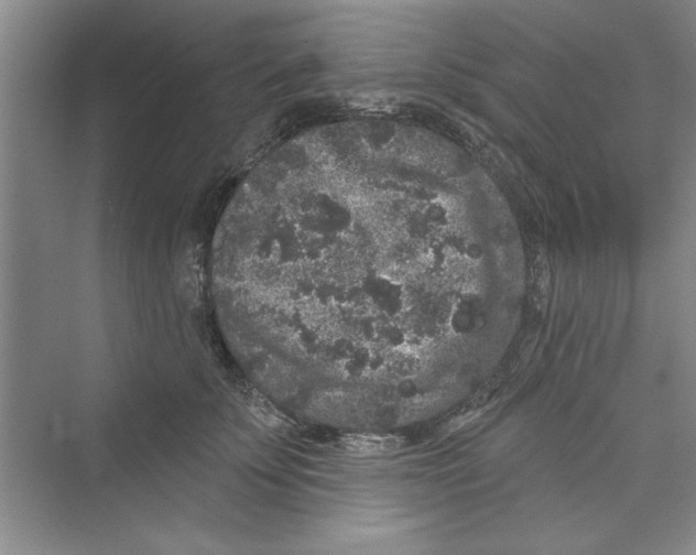 X0000072540707200608111813