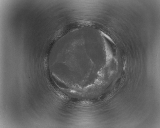 X0000072540708200608111813