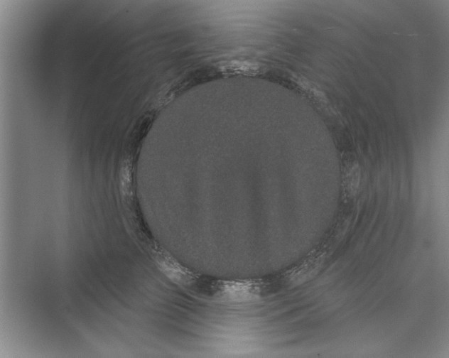 X0000072540709200608111813