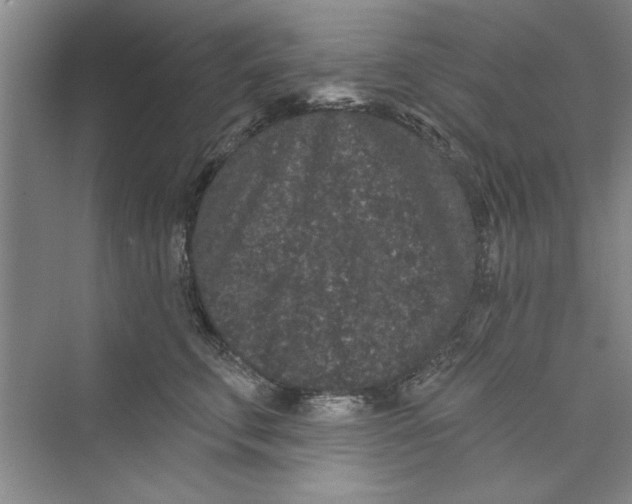 X0000072540711200608111813