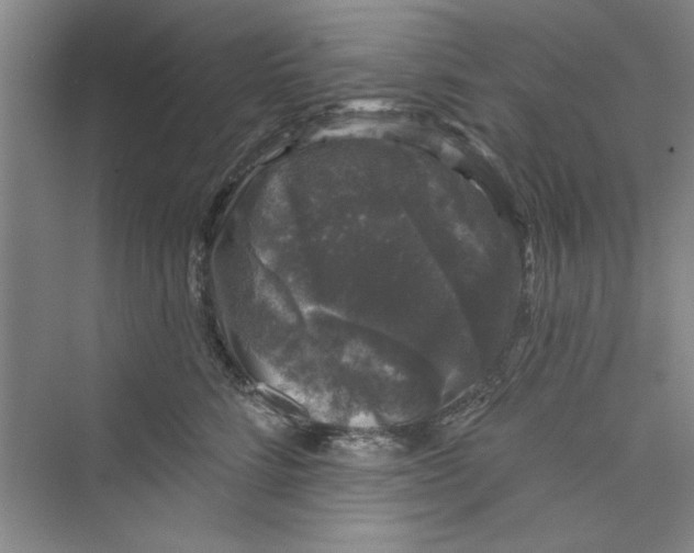 X0000072540712200608111813