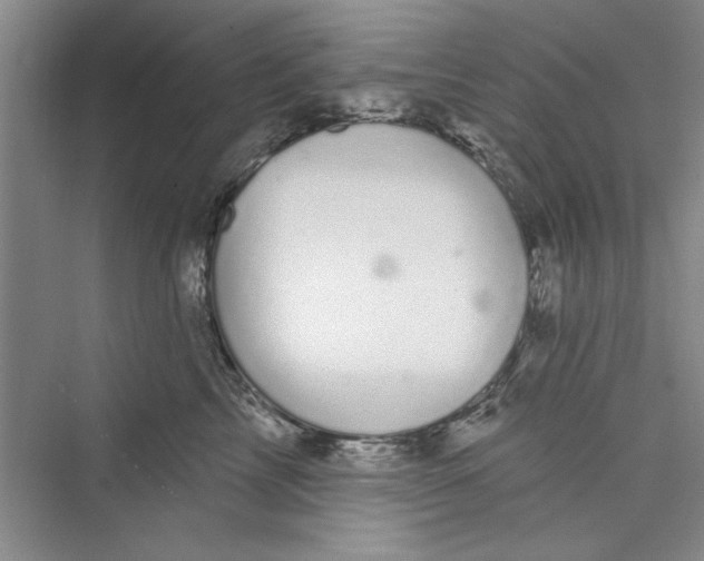 X0000072540713200608111813