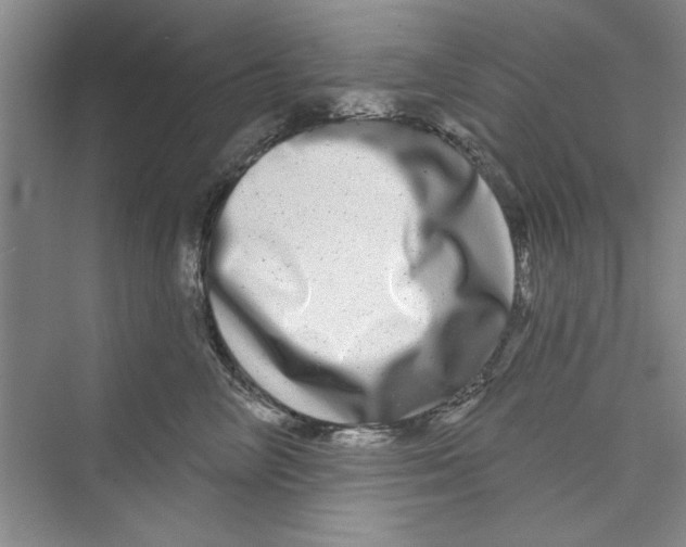 X0000072540714200608111813