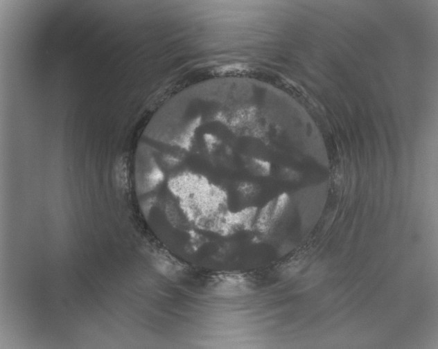 X0000072540715200608111813