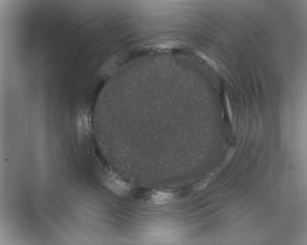 X0000072540718200608111813