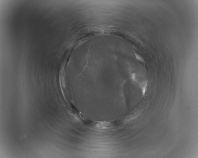 X0000072540720200608111813