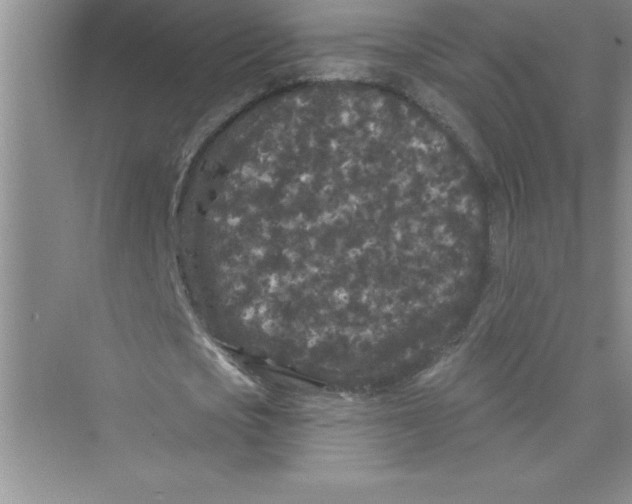 X0000072540721200608111812