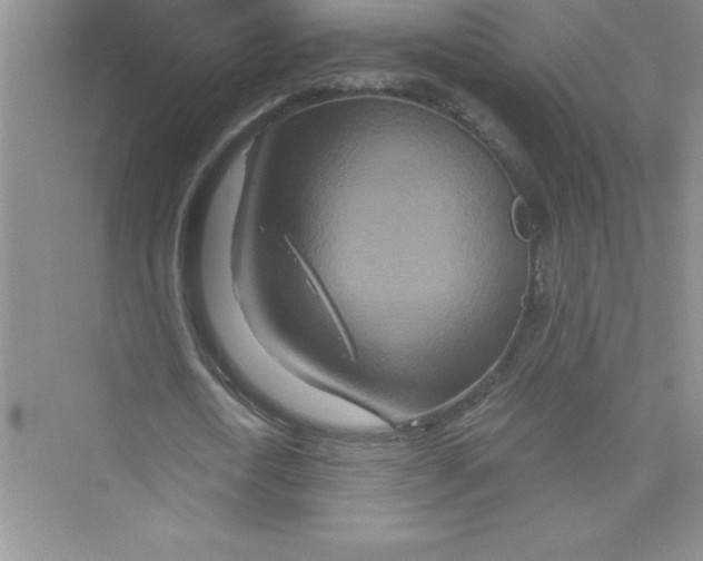 X0000072540722200608111812