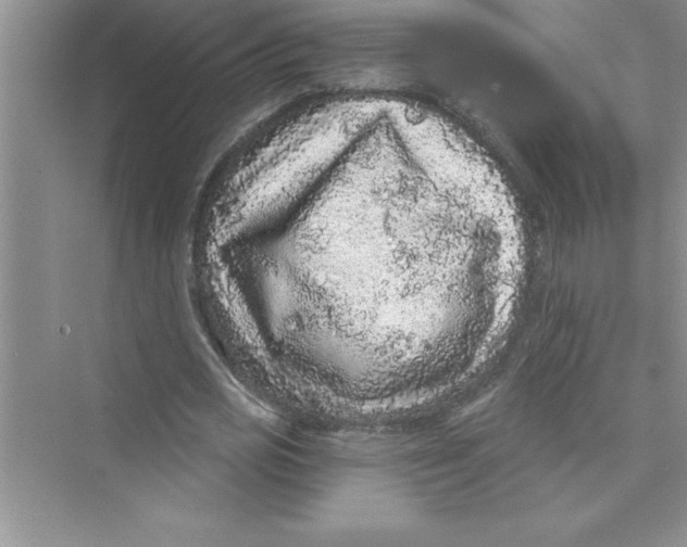 X0000072540725200608111812