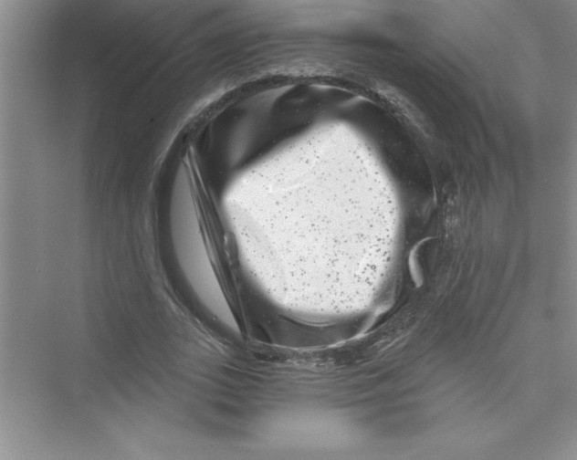 X0000072540727200608111812