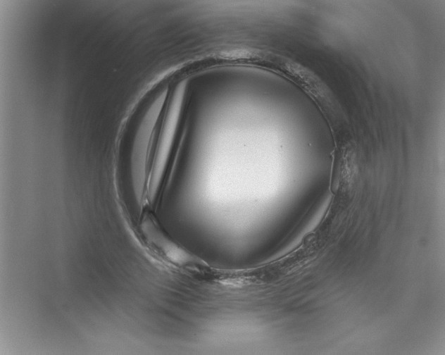 X0000072540728200608111812