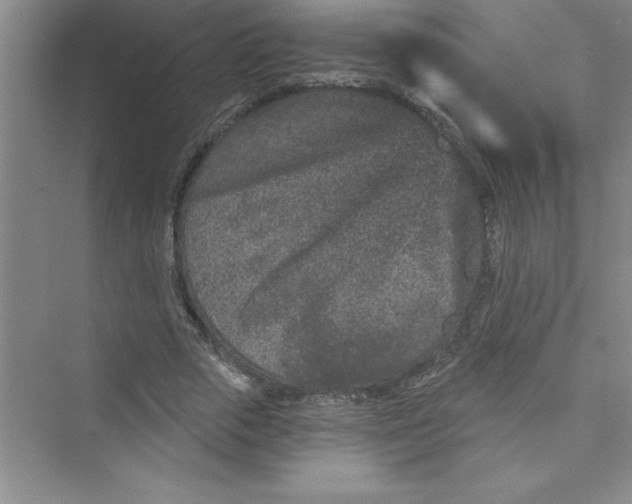 X0000072540729200608111812