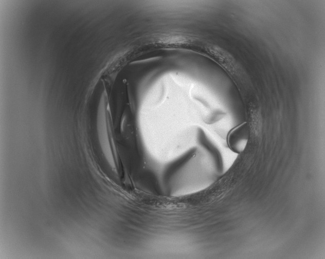 X0000072540731200608111812