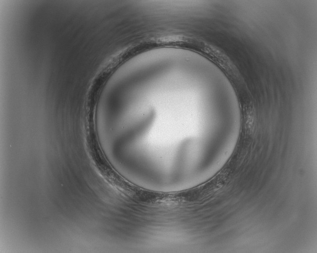 X0000072540732200608111812