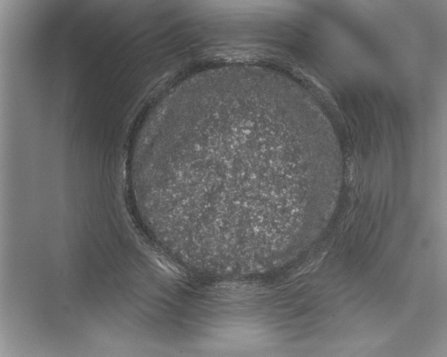 X0000072540733200608111812