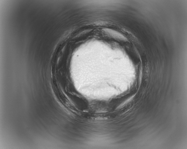 X0000072540734200608111812