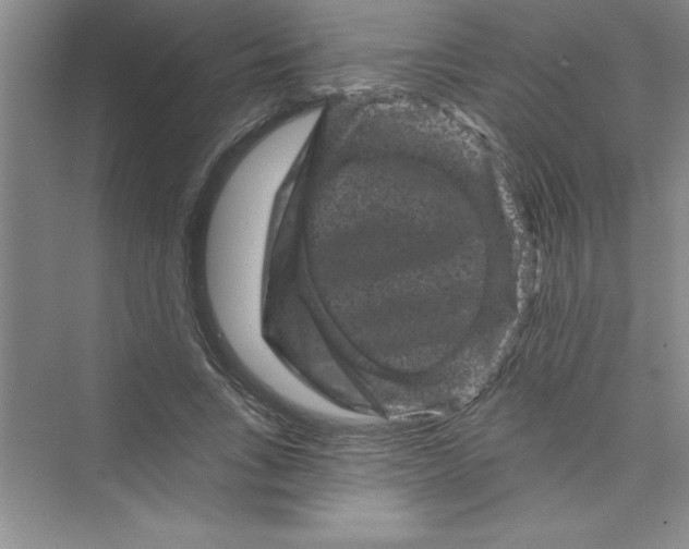 X0000072540735200608111812