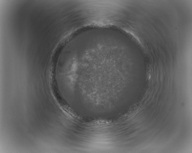 X0000072540736200608111812