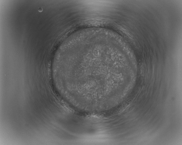 X0000072540737200608111812