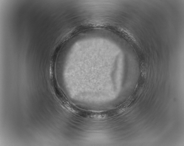 X0000072540740200608111812