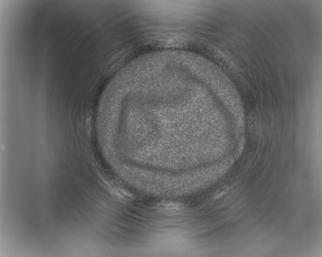 X0000072540741200608111812