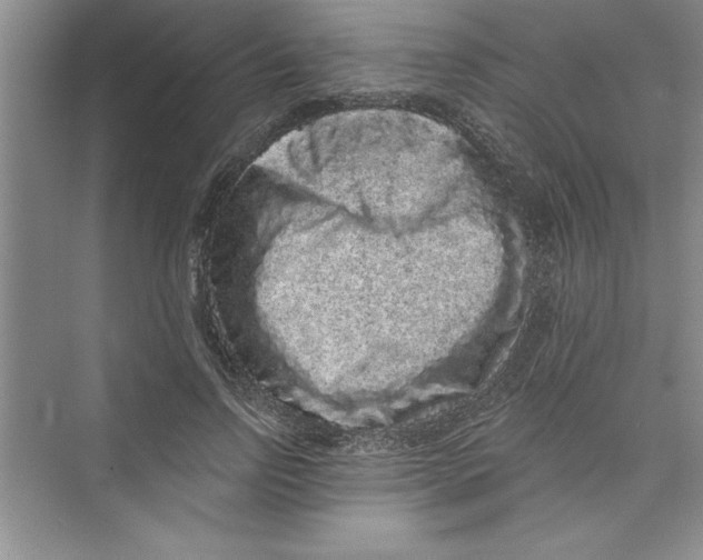 X0000072540742200608111812