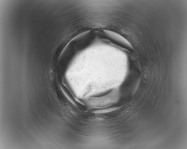 X0000072540743200608111812