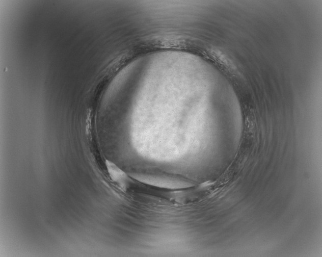 X0000072540744200608111812