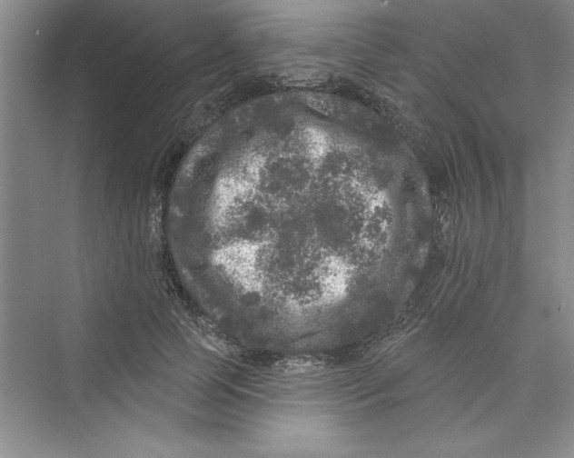 X0000072540745200608111812