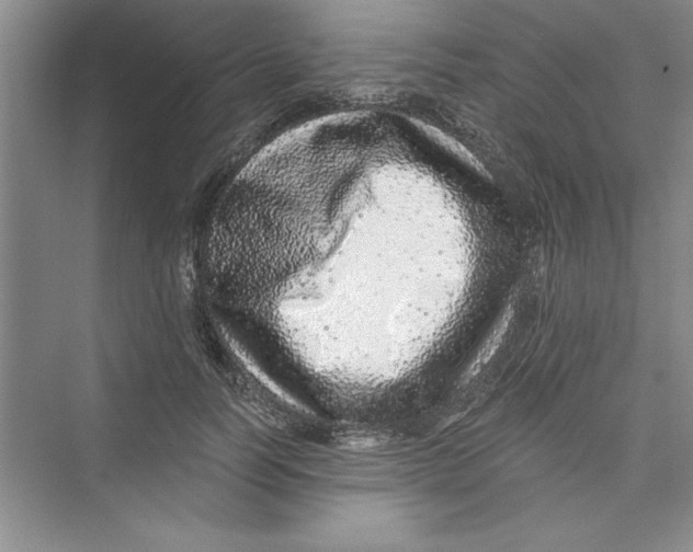 X0000072540746200608111812