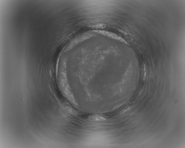 X0000072540747200608111812